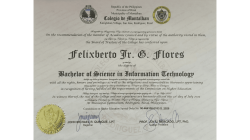 BSIT Diploma