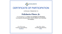 Excelerate Digital Marketing GoHighLevel Webinar Certificate